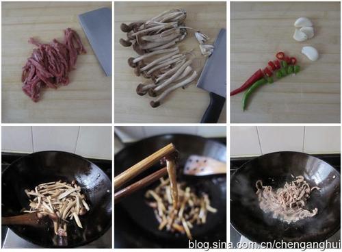 ɳ��ţ��������������