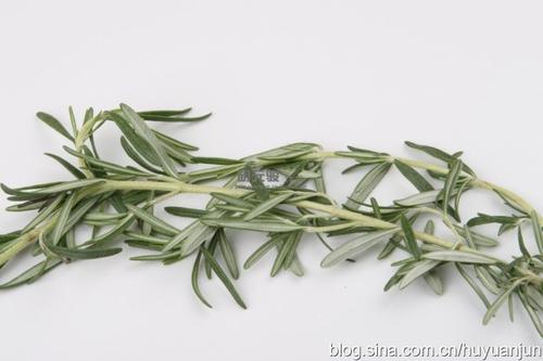 ��ݺڽ���Ģ��������