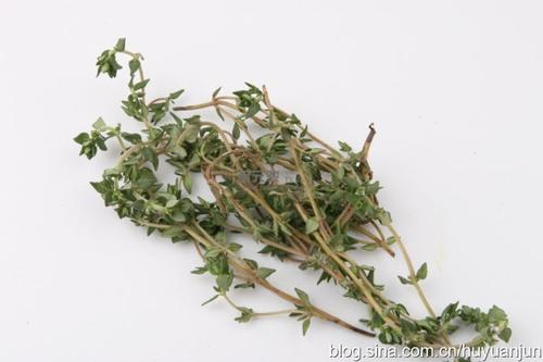 ��ݺڽ���Ģ��������