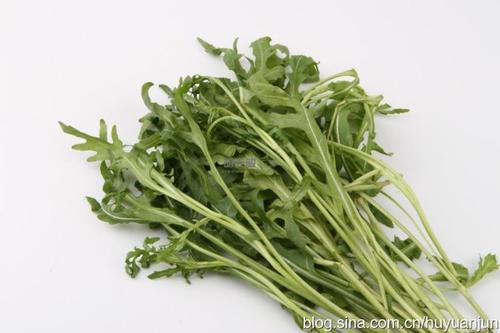 ��ݺڽ���Ģ��������