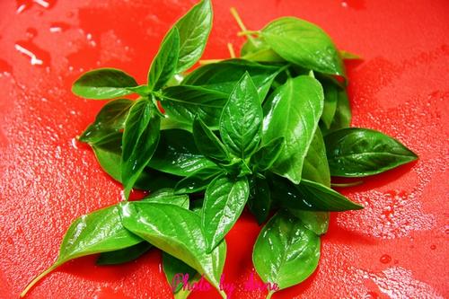 �����������֥ʿ��������