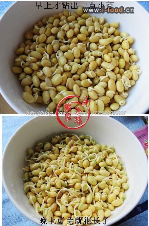 �ƶ�ѿ������������