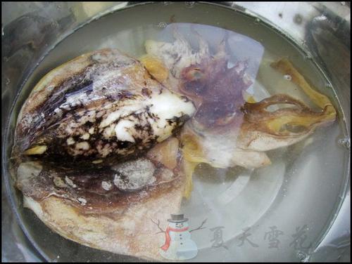 墨鱼炖猪肚的做法