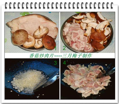 �㹽����Ƭ������