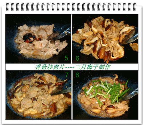 �㹽����Ƭ������