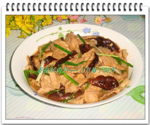 �㹽����Ƭ������