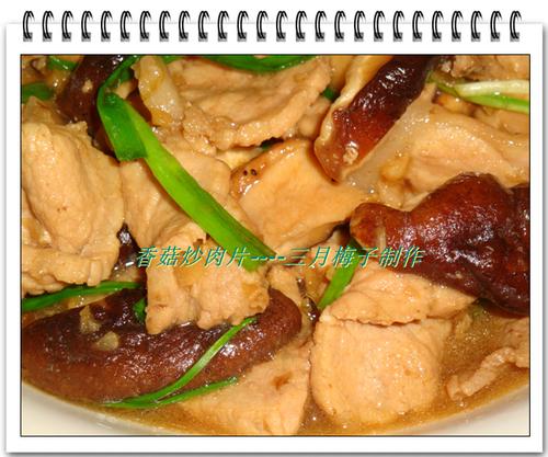 �㹽����Ƭ������