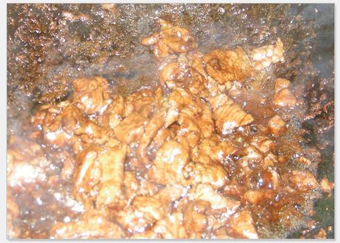 źƬţ��������