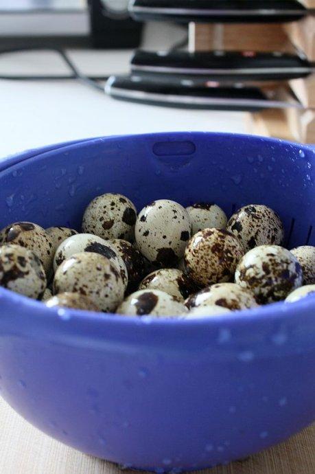 �������ȵ�������