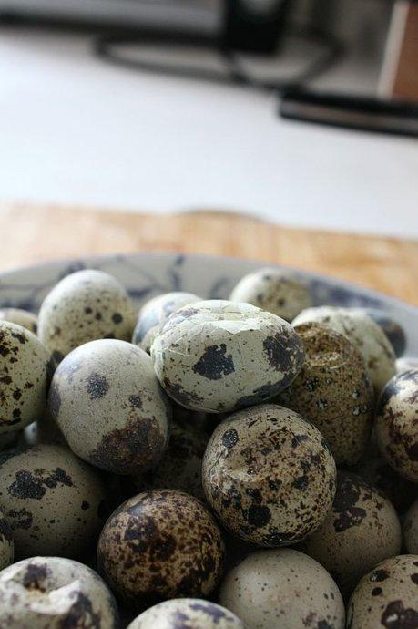 �������ȵ�������