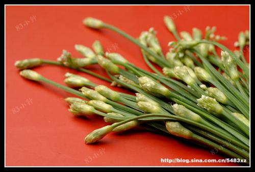 �²˻�����˿������