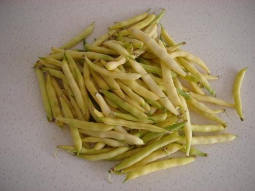 �ƽ����ѹϵ�����