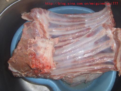 ��ץ���������