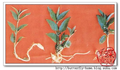 ���غ�«������