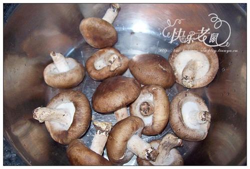 �ʹ���Ƭ������