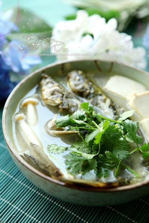 ����㶹����������