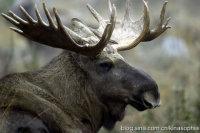 �ҳ���¹�������