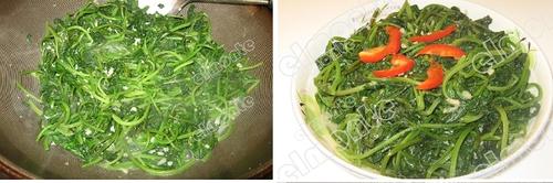 ���鳴����Ҷ������