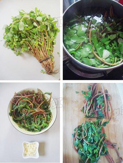 ���������ȵ�����