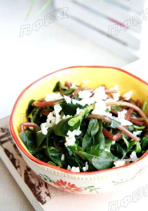 ���������ȵ�����