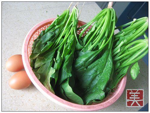 ���˳�����������