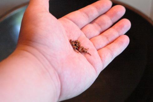 �����ռ�������