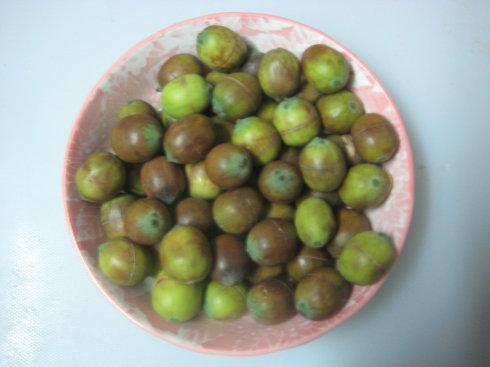 ��������������������