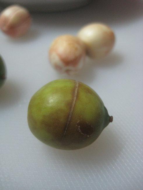 ��������������������