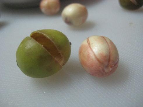 ��������������������