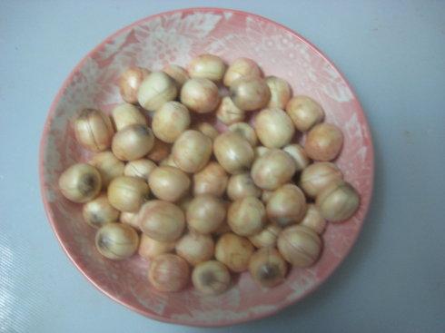 ��������������������