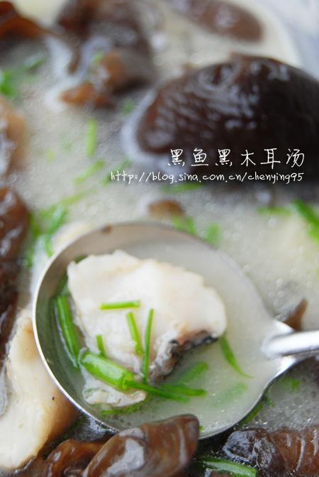 ��ľ��������������