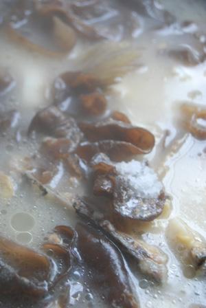 ��ľ��������������