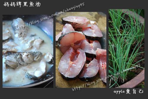 ��ľ��������������