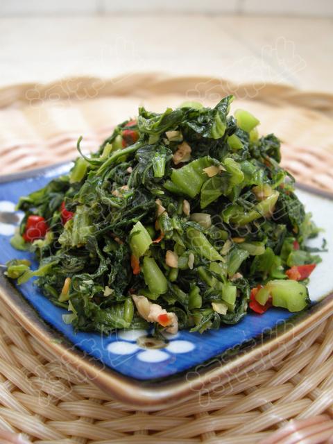 ѩ�����ӵ�����