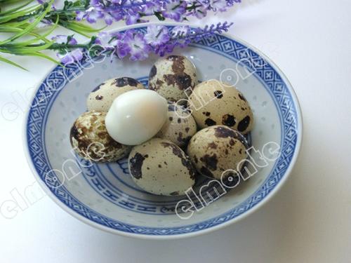 ���װ��Οh���ȵ�������