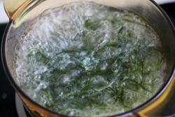 ��˿����˿����ܲ�������