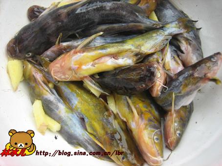 �����������˵�����