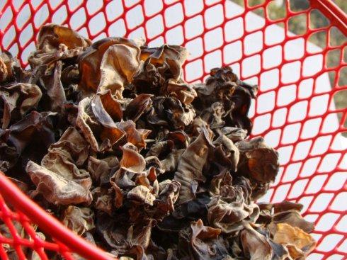 ��ľ������������