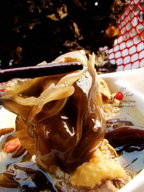 ��ľ������������