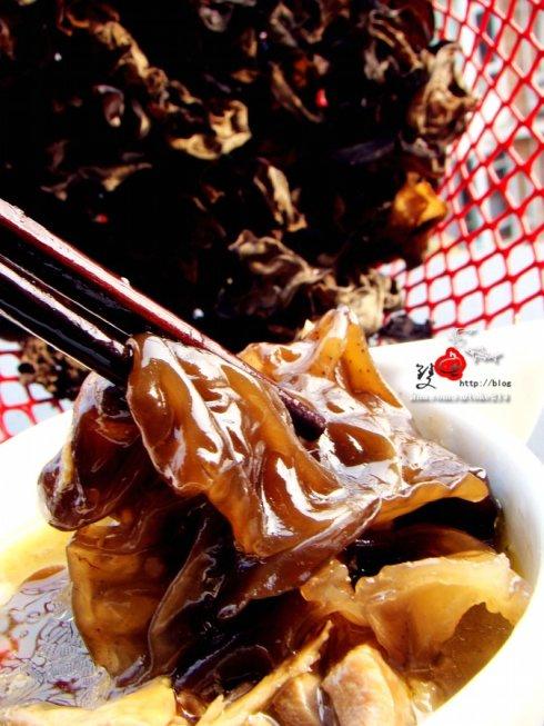 ��ľ������������