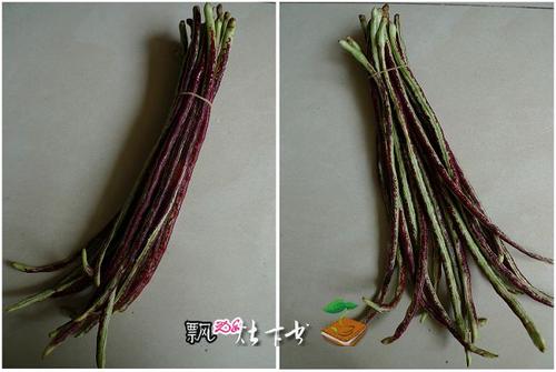 ������ĩ����������������