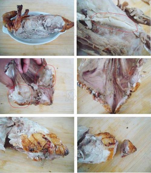 ������Ѽ˿������