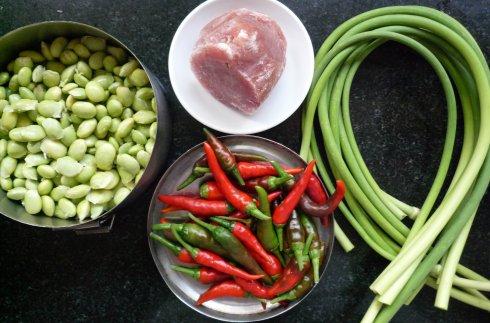 ǧ���������