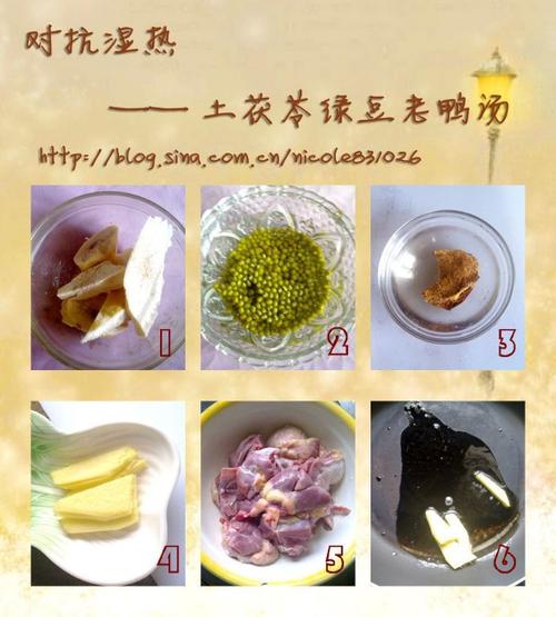 土茯苓绿豆老鸭汤的做法