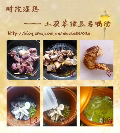 土茯苓绿豆老鸭汤的做法