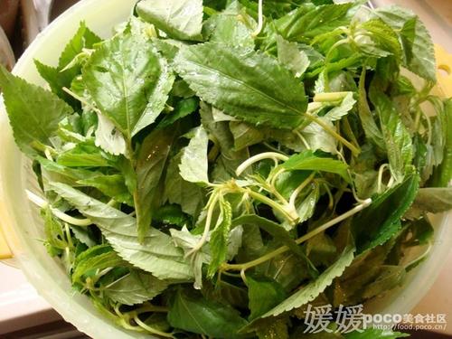 ����������Ҷ������