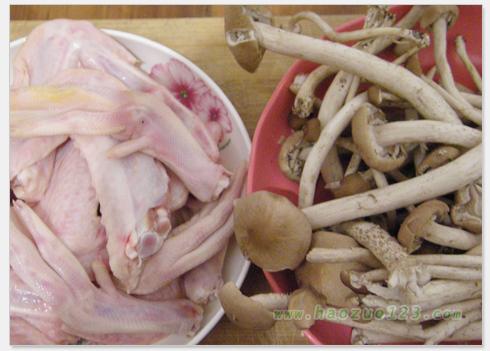 Ѽ����������������