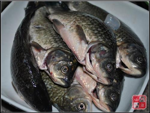 �ݽ����������