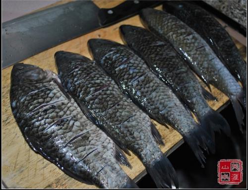 �ݽ����������