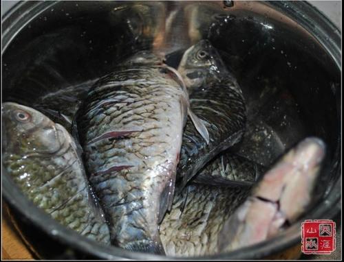 �ݽ����������